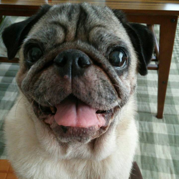 9d4f2c4d 94ac 43fd 95ea 26f7b7eed713