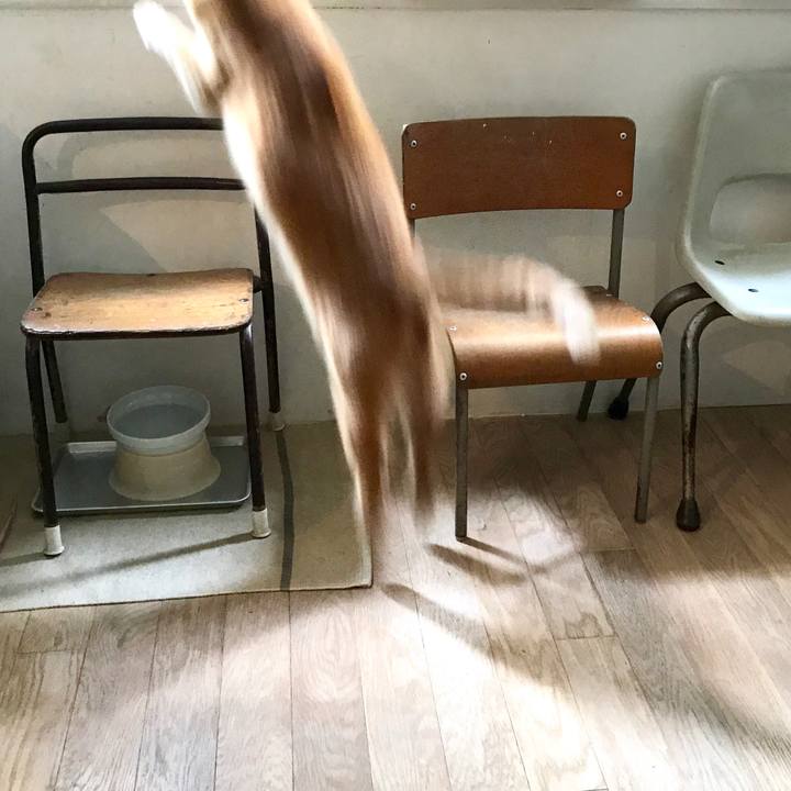 9d502cf7 491f 40de b7ac 3731bc93f6f1