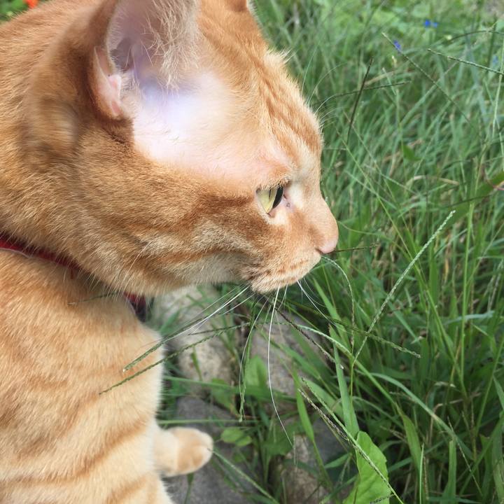 9d518248 0015 415b 9d56 6a2ed7c8fa87