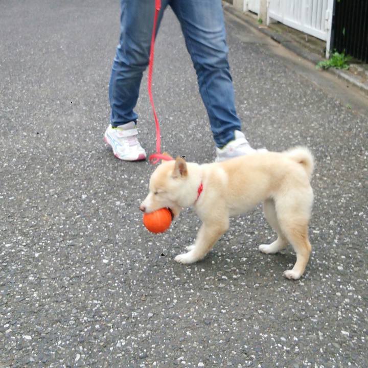 9d51b703 6f8d 4bbe 9139 63f1f27d6c2c