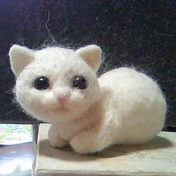 9d5256ca f376 4957 9653 bab7d37e630e