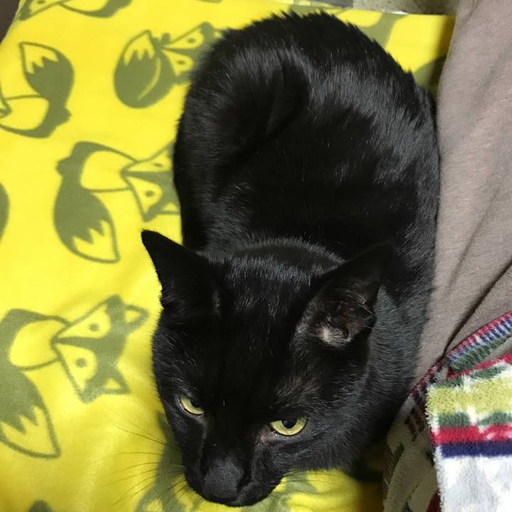 9d5327ec 2723 48a4 baba 6f8f478ad224