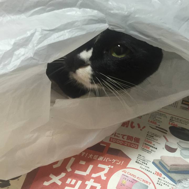 9d53635a 8614 4ecf 9b02 85bad1a728ef