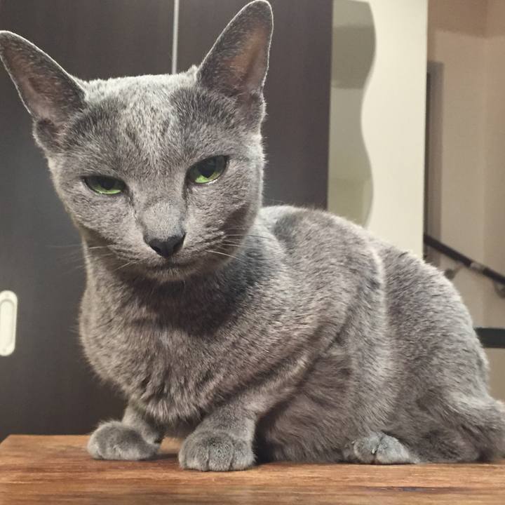 9d5480ec 79ec 4123 9589 d4826822ae53