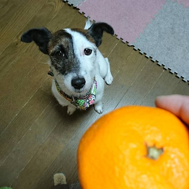 9d5488d1 4685 4ca5 bf22 aa4dd73c0adc