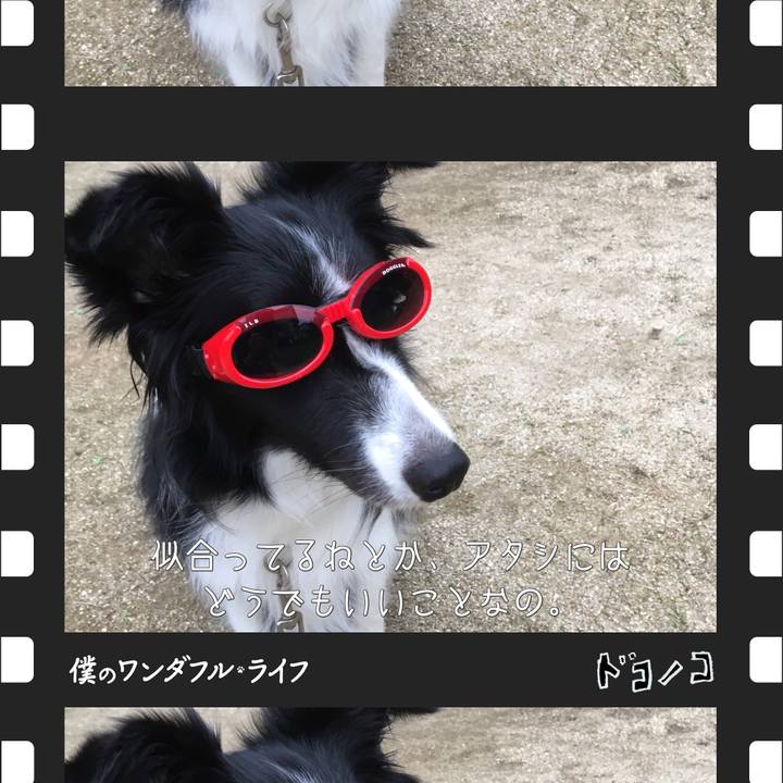 9d548e46 6944 480e 9b39 02cbf1629fbd