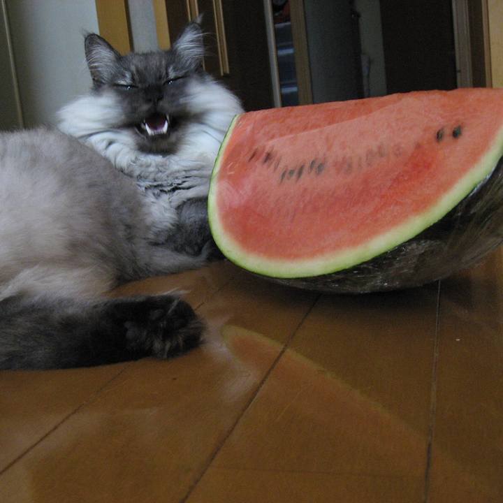 9d54ee38 cc80 45aa 8697 c791f0b1ffc9