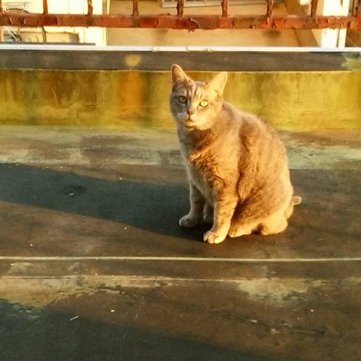 9d55c9c3 d63c 416f 9468 f5a8d2637f9c