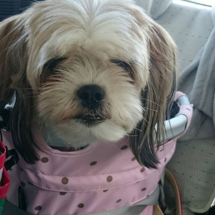 9d566396 f0f1 4ff0 a1a7 81458251263c