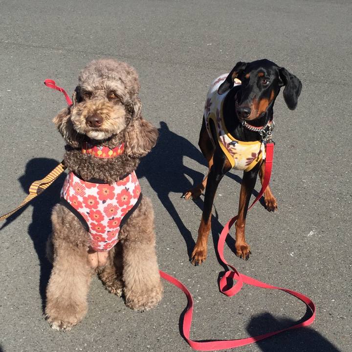 9d56d03c 1b7d 4c10 829f 3fcb424f0b92