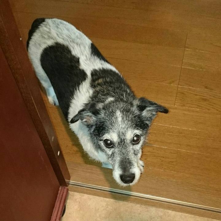 9d5894a4 4409 4f2c bb81 7f714d89c1ec