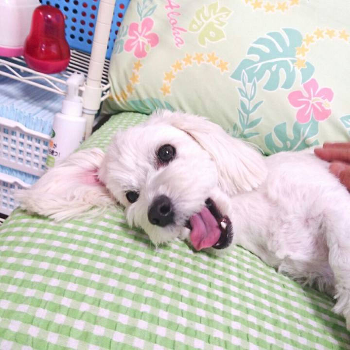 9d58afcd 56aa 45b5 ae12 63a62e1c7185