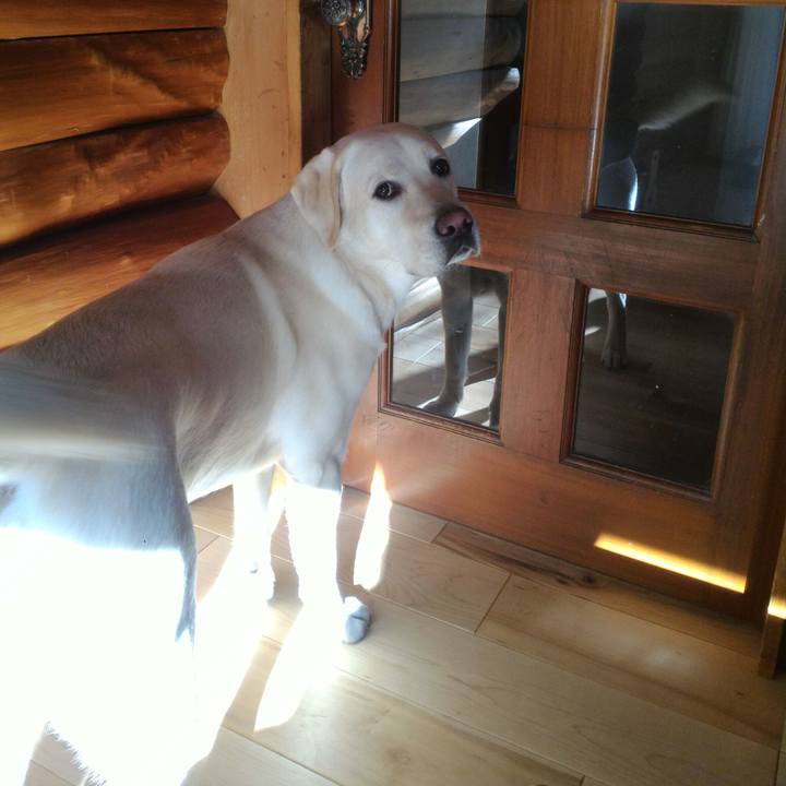 9d58c693 0a2d 47a5 a53d 6fba226b0729