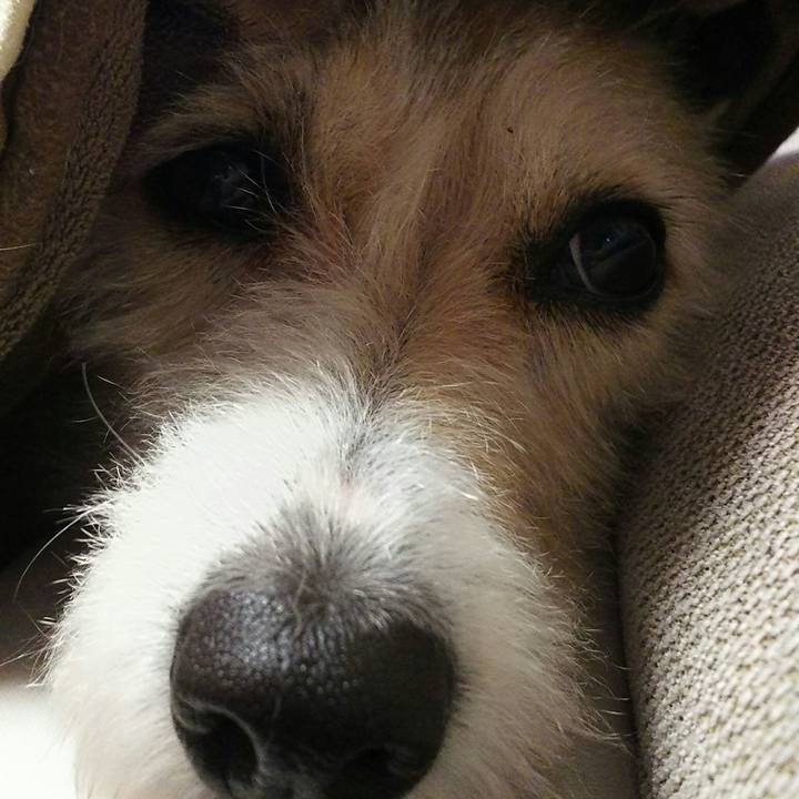 9d590c72 3d04 4f2e a503 c34deb90aeb2