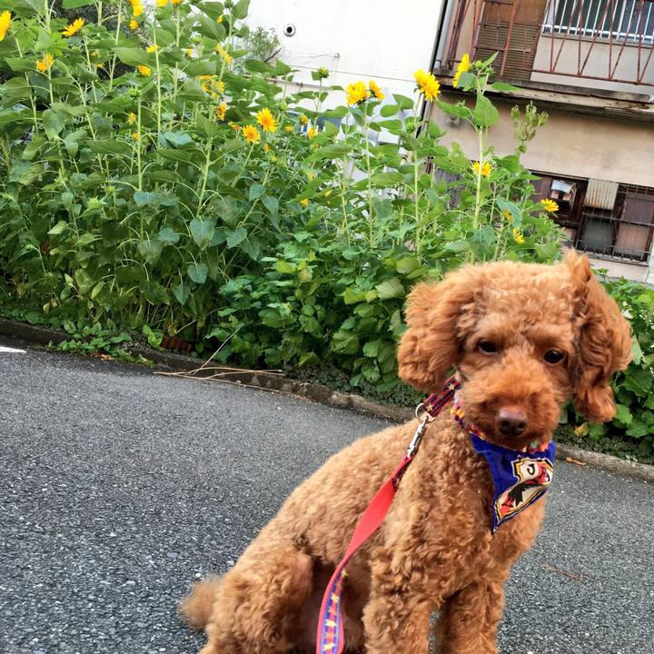 9d5a02de 7ecc 4d47 893b 66e1fe41fc3d