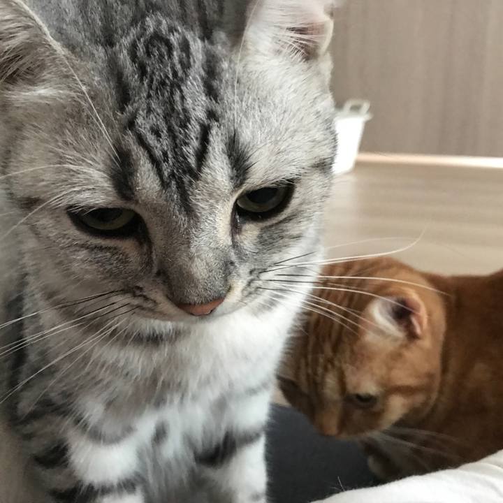 9d5a2ae9 2eb0 4d4a 9ea0 5f578a75235a