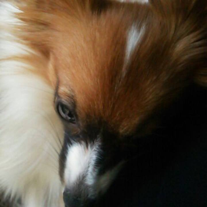 9d5a42c4 b4d3 4101 b5be 4d96adf166f8