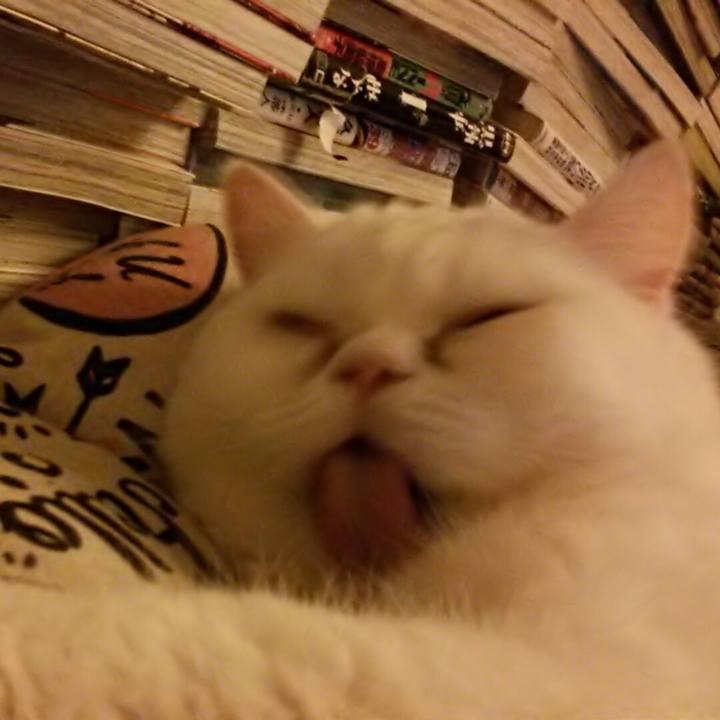 9d5a8098 c2e8 4d09 a6ee 3c86cd5dbb1e