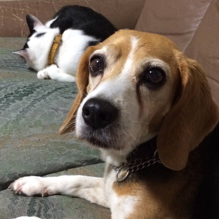 9d5afc59 553d 4b35 bbd1 4c2155615115