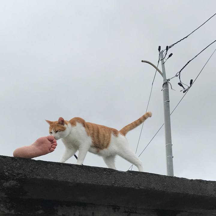 9d5b04fd 51af 4387 ab96 1dcdc262a98a