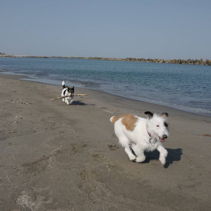 9d5b54ee a36b 4bb8 a8c4 467b1ab58cd3