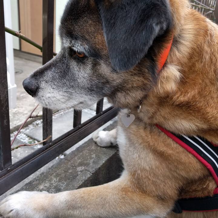 9d5b88b2 527a 4bf2 8d07 4ea1fb70c494