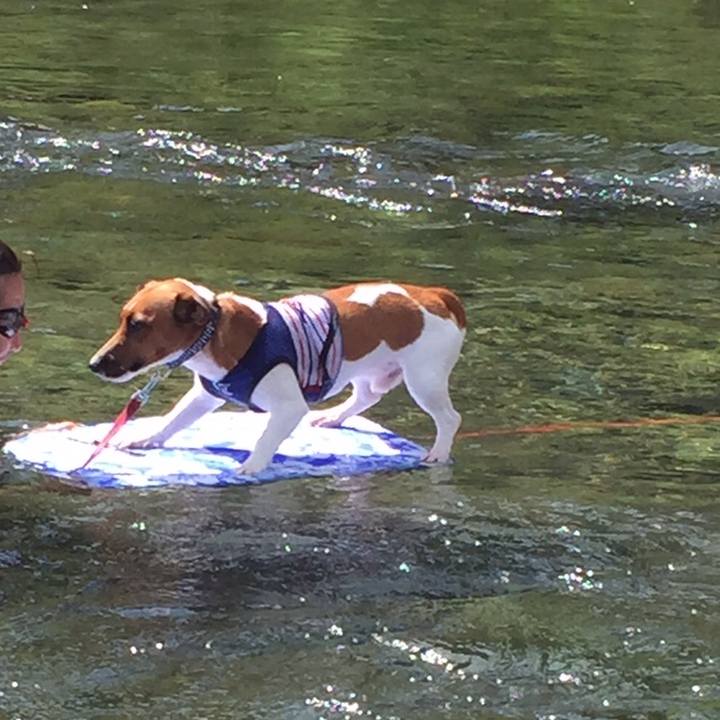 9d5c7d63 037d 4bb8 ac60 50b3e7986deb