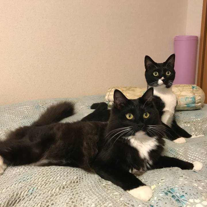 9d5cf5e8 d049 464b a4aa 33894520939a