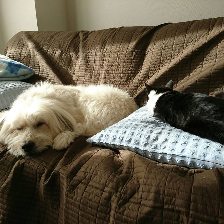 9d5d3769 949d 4b4e 96db 56f197b43ed0