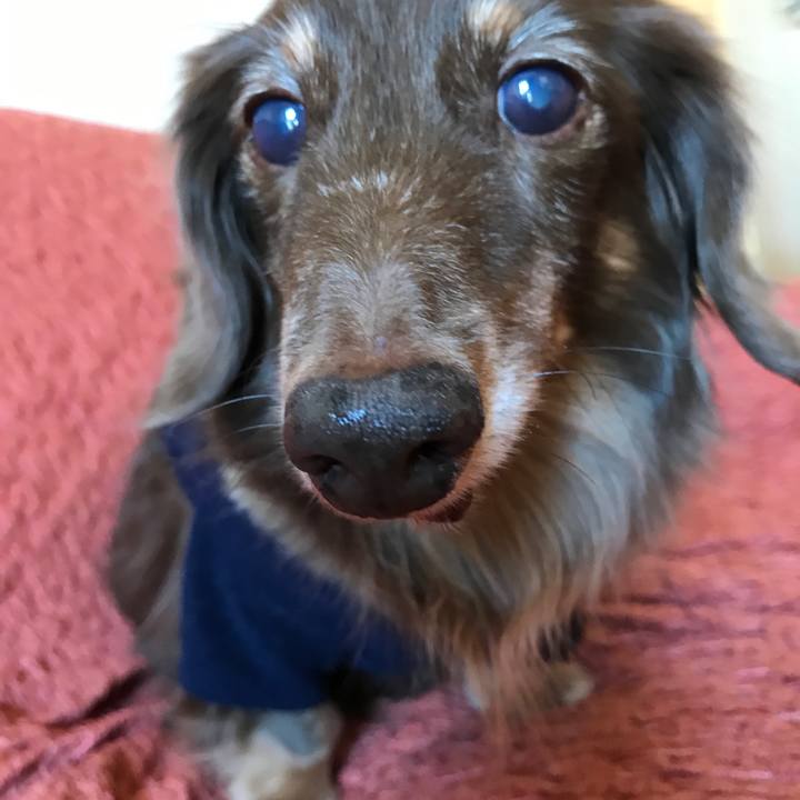 9d5e053a c694 429a b722 7ee4cf9a87c4