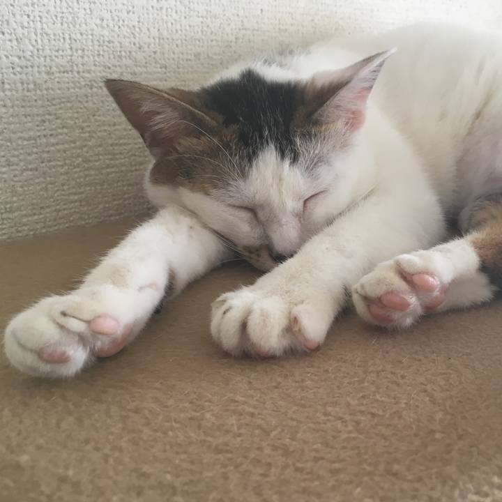 9d5e059f 1f0d 40da 8499 192895341888