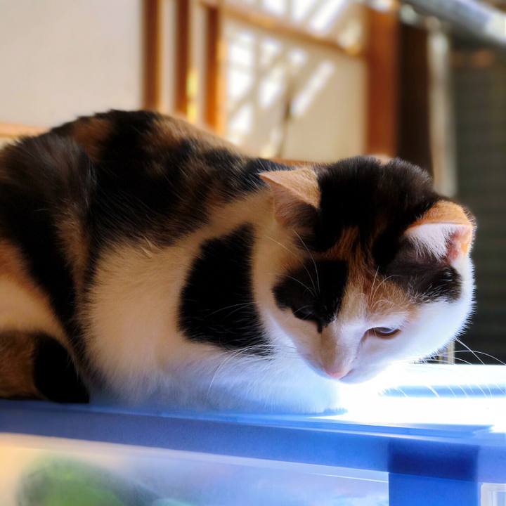 9d5e0bc6 056c 44fc 9e8d 53da22dd42ab