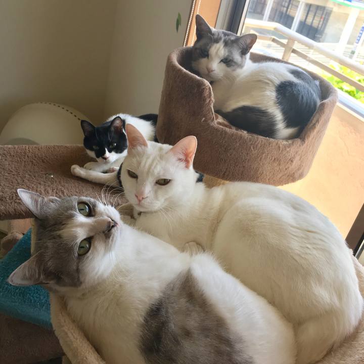 9d5e2851 87b7 44d1 b4a3 e0c1463ea9c5