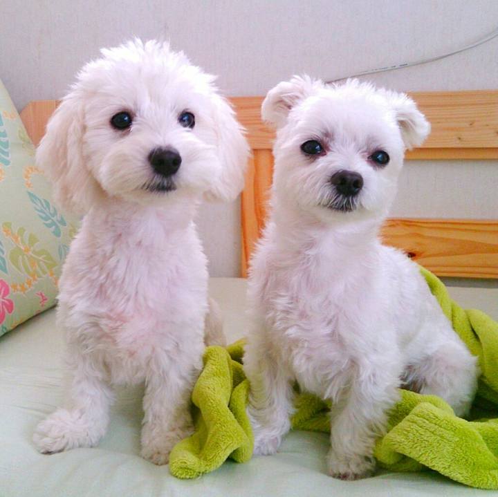 9d5e51f8 b887 4c90 aa8d 16328590e551