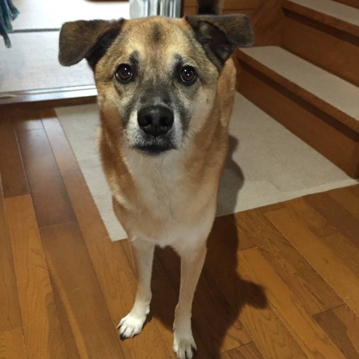 9d5ee101 1472 4e74 86c2 64df0f5e3397