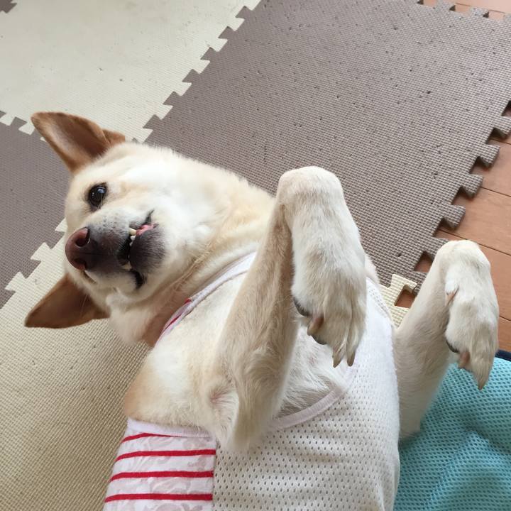 9d600137 b9dc 4b6a 9dfb e01462a76b69