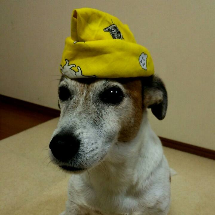 9d60640f 36a1 49b2 ab6e fef3dcdacaf4