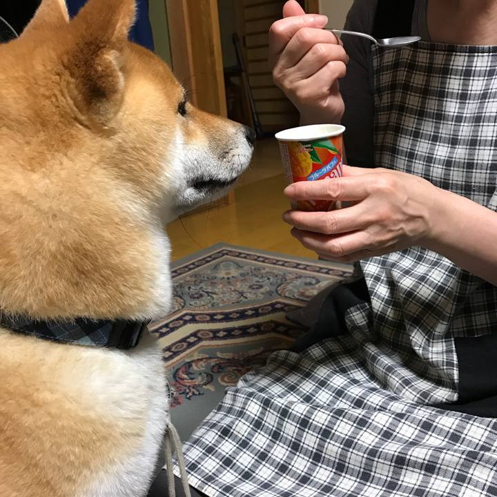 9d60a96a d094 45de 89f3 d1d205f99df2