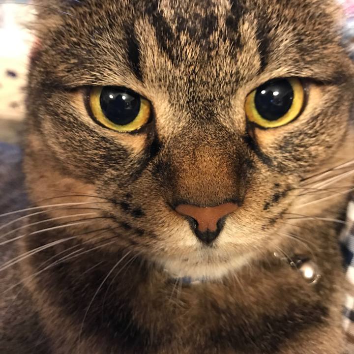 9d60ca4d dfff 4536 801b 0d4400684237