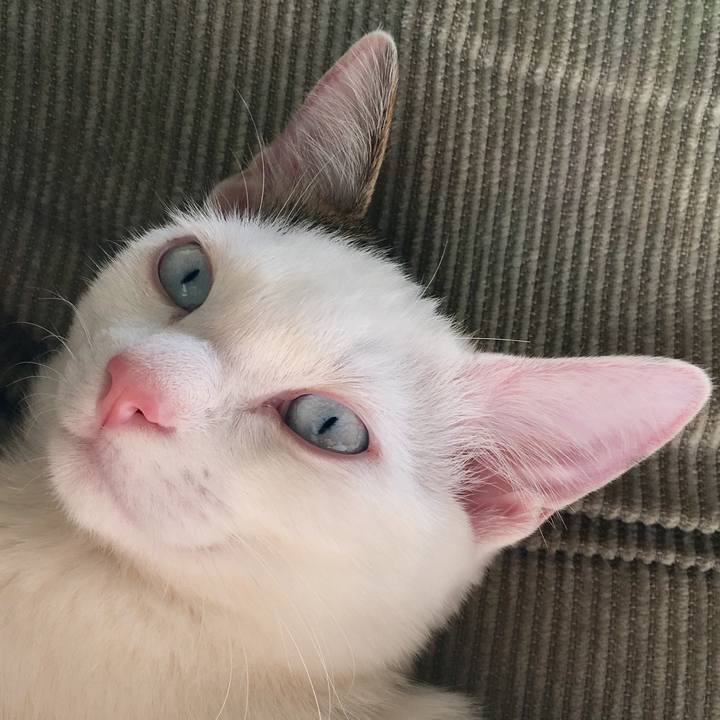 9d617db6 0033 404e b05c 6f14845b6798