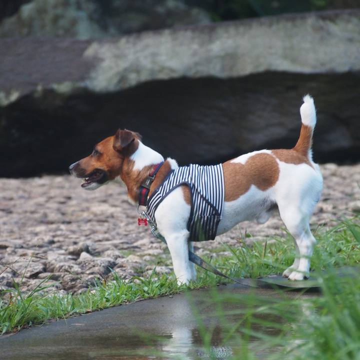 9d622e47 0f4c 42bb a0d5 fda0059578fd