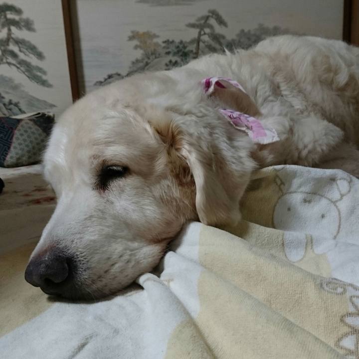 9d6292ac ea38 4c71 8ec0 44b0165627c4