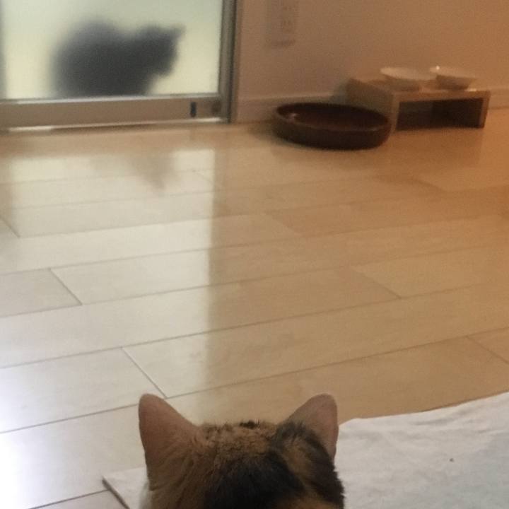 9d62e792 fc84 4516 a954 86c74a8f7a9e