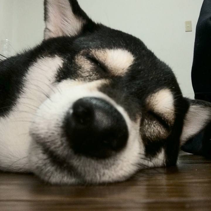 9d63ad51 b913 4f88 8885 4fe08f3b397a