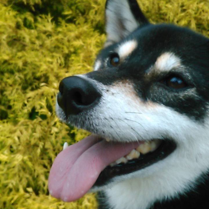 9d63bf5f aa81 4a63 ba14 ff90e97da143