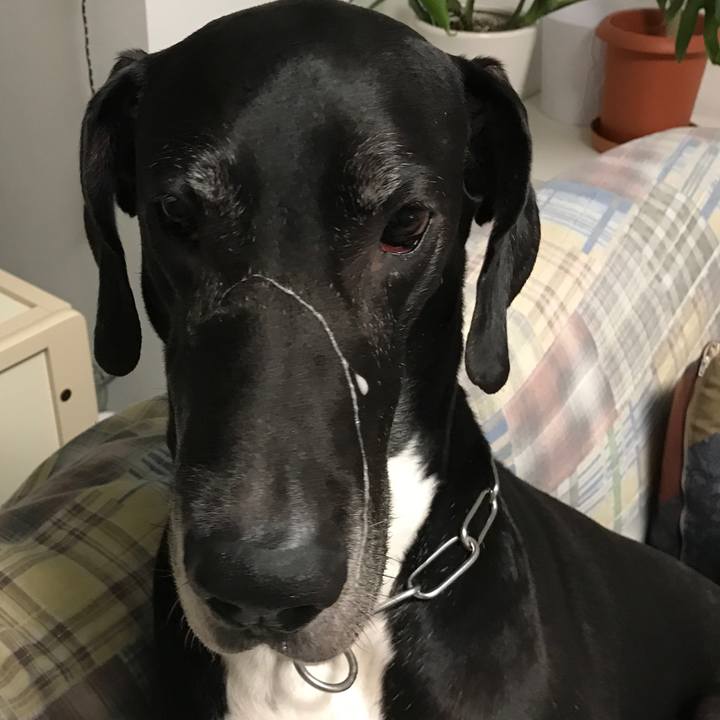 9d64c4ab ddf2 49b0 82df 3e5d6f99c4ab