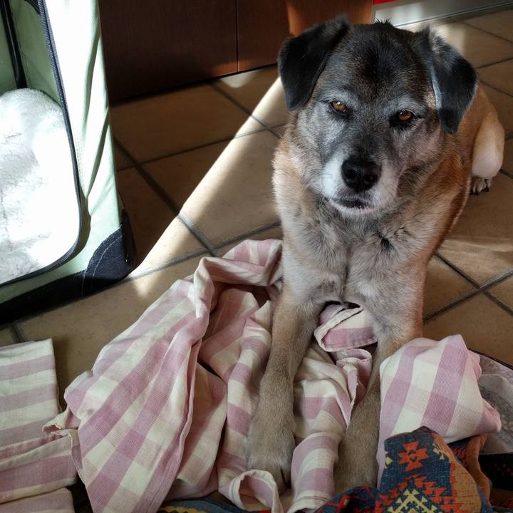 9d64e839 92b8 4d3e 9196 40b82f4bde8b