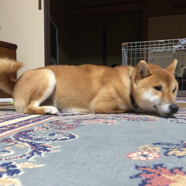 9d6565c0 f96e 4ad5 a832 9287dc7cf885