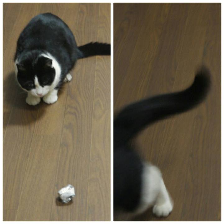 9d65ebde d73e 4d8d ba4b e7348b63be3b