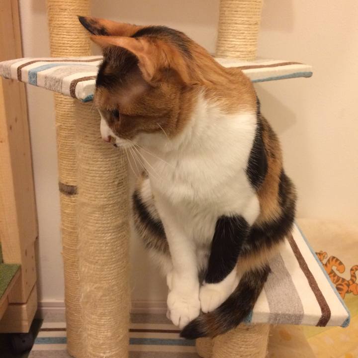 9d662aee 242b 479a 8664 3a57eb458661